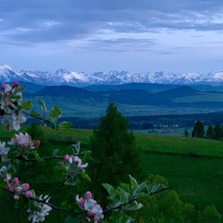 Szlembark Koza U Woza Wypocznij W Gorach W Rytmie Slow Drewniany Dom Premium Z Widokiem Na Panorame Tatr Ecospa Strefa Fitness Zielona Farma Warsztaty (Adults Only) מראה חיצוני תמונה